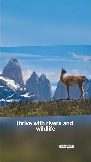 The Planet’s Green Heart: Top 10 Grasslands You Must Visit.