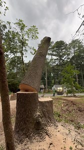 3K views · 449 reactions | ‍♂️Tree Service / ‍♂️Two-day work! Decatur, GA . ️Call us right now and get a #freeestimate ☎️(678) 457-3487 ✅Fully Insured ✅licensed . . . #trees #treeremoval #treework #arborist #tree #stihl #stumpgrinding #treecare #landscaping #treetrimming #usa #georgia | Jireh Tree Services & Landscaping | Facebook