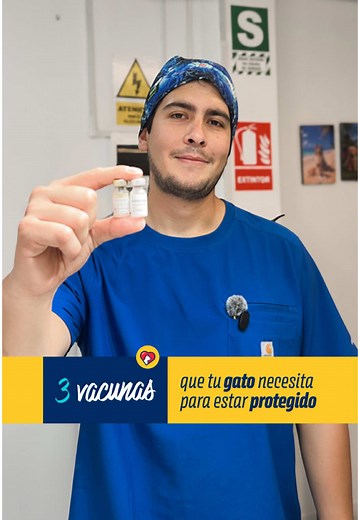 Vacunas esenciales para gatos en casa