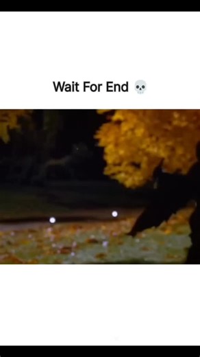 netfl_ixmoviess on Instagram: "​🎬 Movie: Scary Movie (2000) ​⭐ Genre: Comedy / Parody / Slapstick ​⏳ Runtime: 1h 28m ​🌟 Rating: 6.3/10 (IMDb) ​☀️ Cast: Carmen Electra, Anna Faris, Marlon Wayans, Shawn Wayans, Regina Hall. ​📖 Brief Overview: The film follows a group of teenagers who are stalked by a masked killer exactly one year after a tragic car accident. This specific scene features the character Drew Decker (Carmen Electra) being chased in a parody of the opening scene from Scream. ​📖 Br