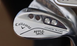 Stuart Appleby WITB 2024 (November)