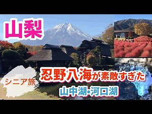 [Yamanashi Sightseeing](Yamanakako - Oshinohakkai - Kawaguchiko)Fuji was beautiful