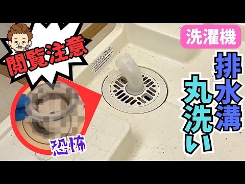 [Washing Machine Drain] Remove the drain trap and wash it thoroughly! This will eliminate clogs a...