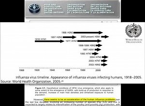 25K views · 452 reactions | What happened around 1995 that changed the scale and frequency of flu viruses? Check out this short snapshot from a talk I gave several years ago and watch my video Pandemics: History & Prevention for more: https://bit.ly/2UczSW5 | NutritionFacts.org | Facebook