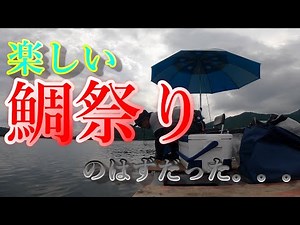 『かかり釣り』道瀬にて楽しい鯛祭りのハズだった。。