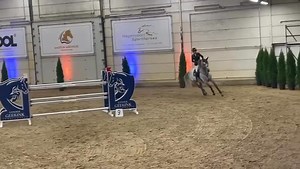 The future is bright - New chapter for approved stallion Dorian Grey TN with Annelies Vorsselmans 🍀🤩 and support of Stal de Sjiem | Team Nijhof