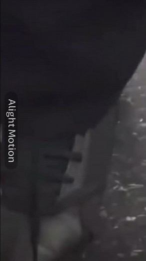 What the hell - original meme