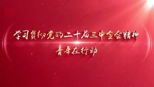 学习贯彻党的二十届三中全会精神-青年在行动