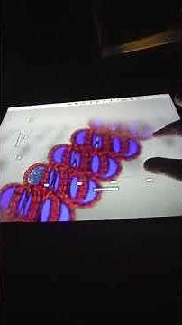 Universal Zoom Size Comparison V2