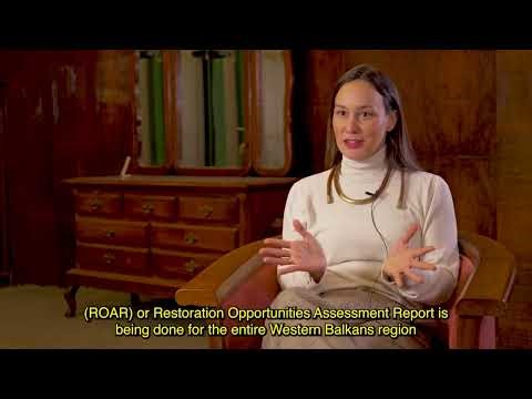 The Western Balkans Six Forest Landscape Restoration (WB6 FLR) Plan