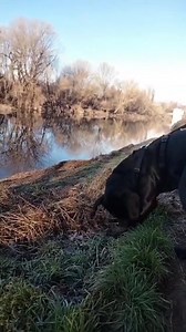 77K views · 6.7K reactions | ALEX ADOTTATO 拾拾 ...La cosa positiva...