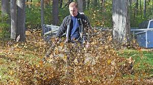 Time to collect leaves in the City of Mansfield