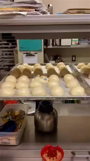 Honey Girl on TikTok