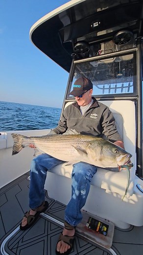 The big fish love the @joebaggsoutdoors Block Island Series Eel! You can get yours at @jbtackle or contact your local retail and tell him to get some, cuz these catch the big ones! @reef_runner_boats @bkkhooks_americas @joebaggsoutdoors.com_ @lamiglasrods @zackscustomrods @costasunglasses @rhodanmarine @nascomarine @raymarineusa @mercurymarine @seakeeper.ride @saltmafiaofficial @pautzke_bait @phasegear @onthewatermagazine | Joe Diorio Guide Service