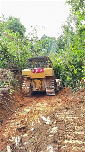 Quality Plantation Roads Thanks to the D6R XL Bulldozer