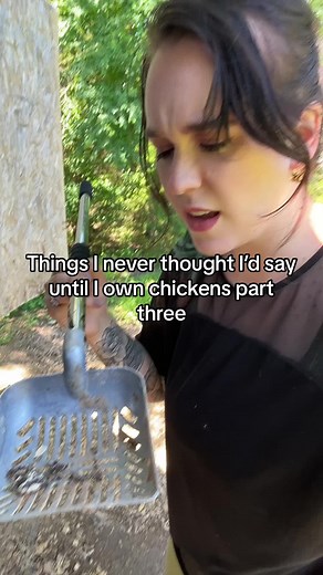 Funny Chicken Poop Stories and Homesteading Adventures
