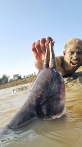 69K views · 253 reactions | Unbelievable technique sandman fishing underwater river #fish #fishing #sandman #video #reels | Discovery Site | Facebook