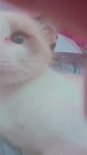 16 de febrero de 2026