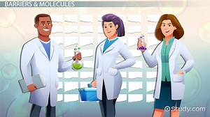 Osmosis Lesson for Kids - Video | Study.com