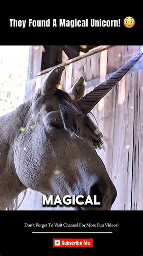 A Magical Horse Changed Everything! #shorts #ytshorts #viralshorts