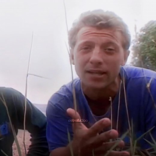 Replying to @Hydrate or Diedrate CUTIEEEE💙💙💙💙 #martinkratt #martinkrattedit #martinkratt🛐 #chriskratt #chriskrattedit #pbskids #tvokids #zoboomafoo #wildkratts