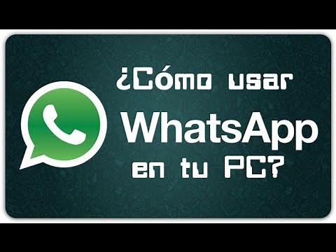 ¿Cómo usar WhatsApp Web Oficial?