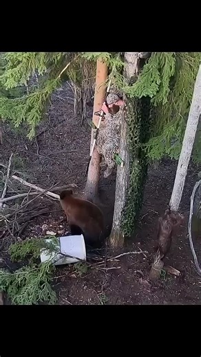 Hdh Dh (@hdh.dh92)’s videos with original sound - Hdh Dh