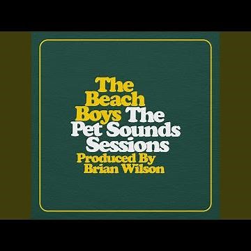 Wouldn't It Be Nice (Stereo Track With Background Vocals)