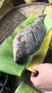 Cá nướng Pa Pỉnh Tộp nhà Mị