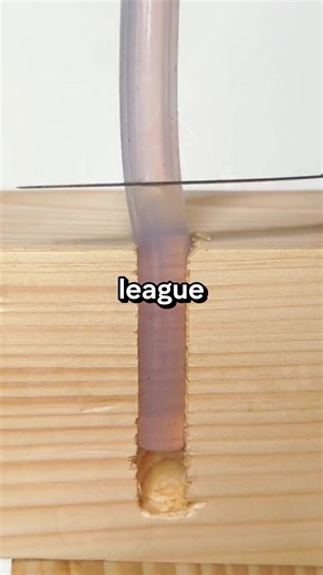 Second Date Update part1#trenting #dateupdate #brookeandjubal #phonecase #fypシ