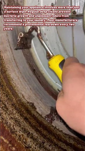 The Hidden Grime Inside Your Daily Washing Machine
