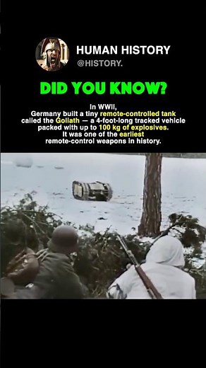 Germany Built a MINI Tank #history #ww2