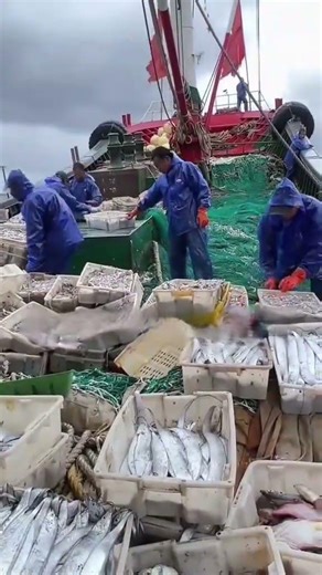 biggest ship north ocean view #northsea #north #ocean #horror #marinemystery #watershipdown #ourseas