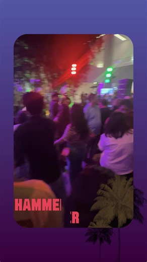 Hammer Museum on TikTok
