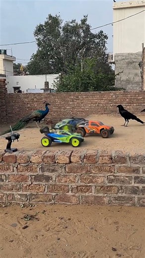 Three remote-controlled monster trucks Drifting