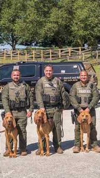 Search and Rescue K9 Team | Real Dogs with Parks Jobs
