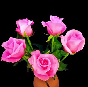 79K views · 8.8K reactions | MUSIC  - “Yo Yo” (a mix of oriental &...