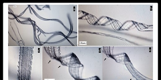 Recent Study Shows Self-Assembly Nanobots in the COVID-19 Injectables