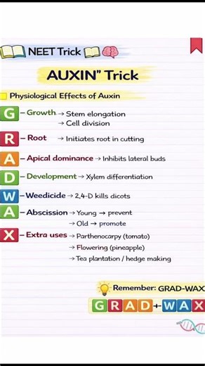 Auxin functions in 15 sec 🧬🔥 Comment “ALL PGR” for full revision