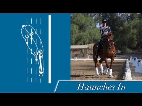 How is your Haunches-In?