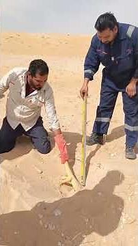 Hunting the Sanda Lizard in the Desert | Traditional Desert Wildlife Adventure