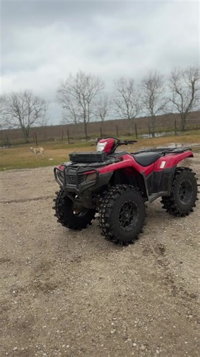 To cold for ts #520 #digrigs🌾