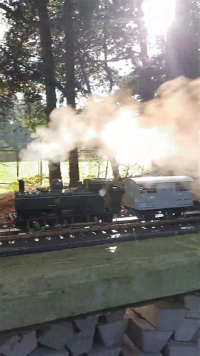 Model live steam Pannier Tank out in the sun #steamengine #railroad #steamlocomotive #train