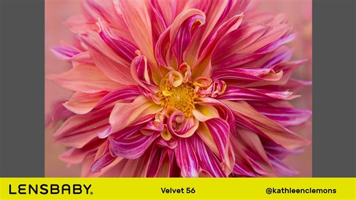 2.9K views · 39 reactions | If you want to fully explore the possibilities with the Lensbaby Velvet lenses then you MUST watch this incredible interview! Watch as Lensbaby Educator and world-renowned photographer Kathleen Clemons Photography sits down with Lensbaby Co-Founder Craig Strong to discuss her favorite Velvet images! Learn more about Lensbaby and explore our Velvet Collection during our Anniversary Sale at www.Lensbaby.com | Lensbaby | Facebook