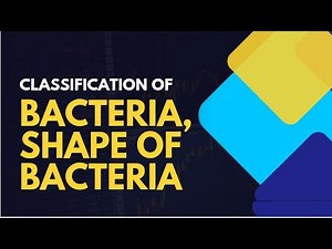 Classification of bacteria in microbiology/shape of bacteria
