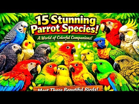 15 Popular Parrot Species: Names, Colors & Facts (2026 Guide) | Amazing Parrots 🦜 in the World 🌎