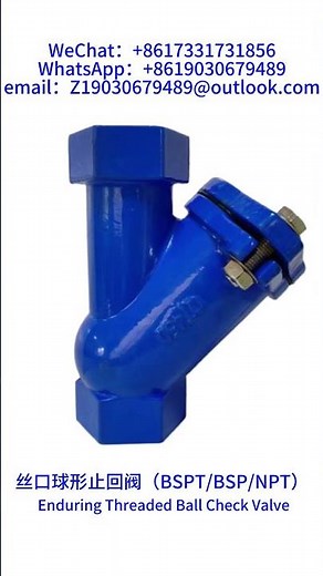 Enduring Threaded Ball Check Valve（BSPT/BSP/NPT） #Valve Supplier #Valve Manufacturing #Valve Factory