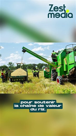 Rice sector: More than 68 billion FCFA to strengthen production