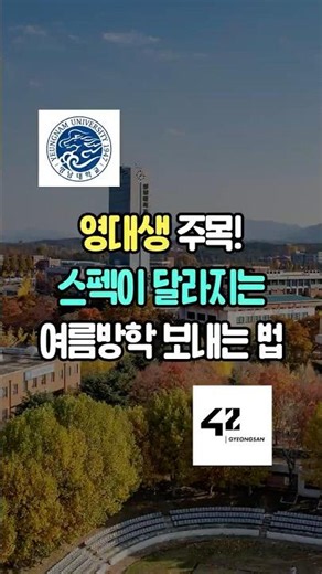 영대생 주목 💥 스펙이 달라지는 여름방학 보내는 법 ‼
