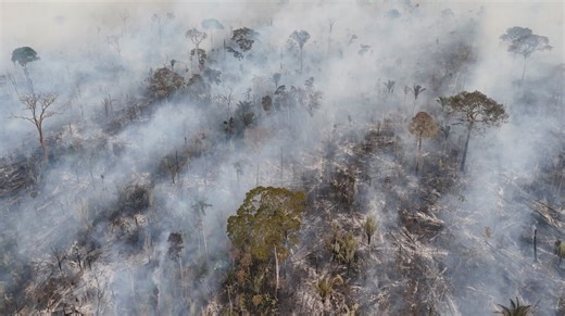 El humo de los incendios del Amazonas llegará a la Argentina: cuándo y qué zonas se verán afectadas